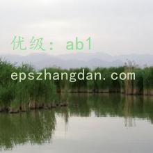 λ